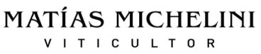 matias michelini